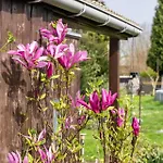 Haus 6 Pers Mit Garten 15 Min Zur Messe Duesseldorf