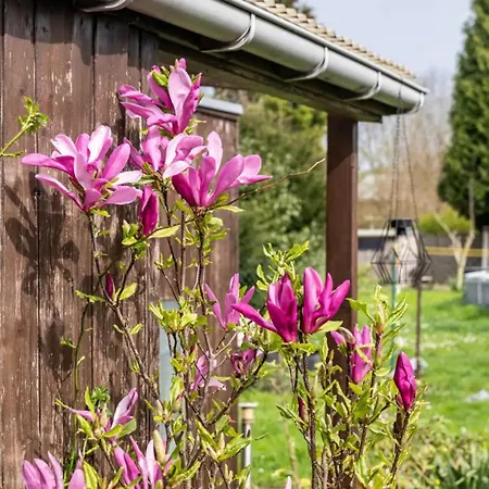 Haus 6 Pers Mit Garten 15 Min Zur Messe Duesseldorf