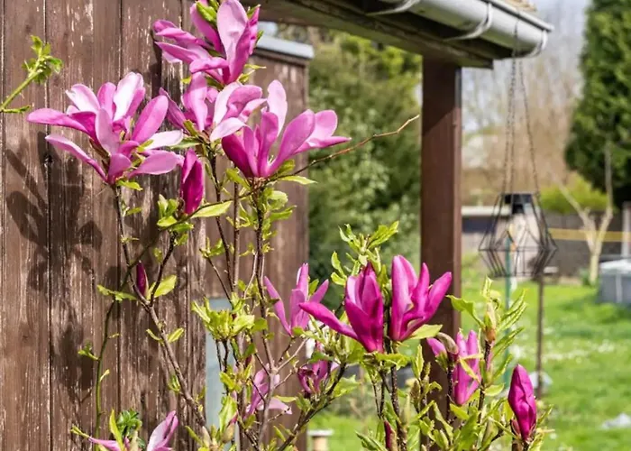 Haus 6 Pers Mit Garten 15 Min Zur Messe Duesseldorf
